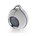 tesa-devialet-mania-light-grey-8.jpg