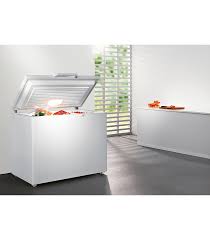 LIEBHERR Congélateur 276L Inverter  Stop Frost A+++ Coffre GTP3156