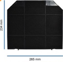 FILTRE CHARBON TITANE POUR RECYCLAGE