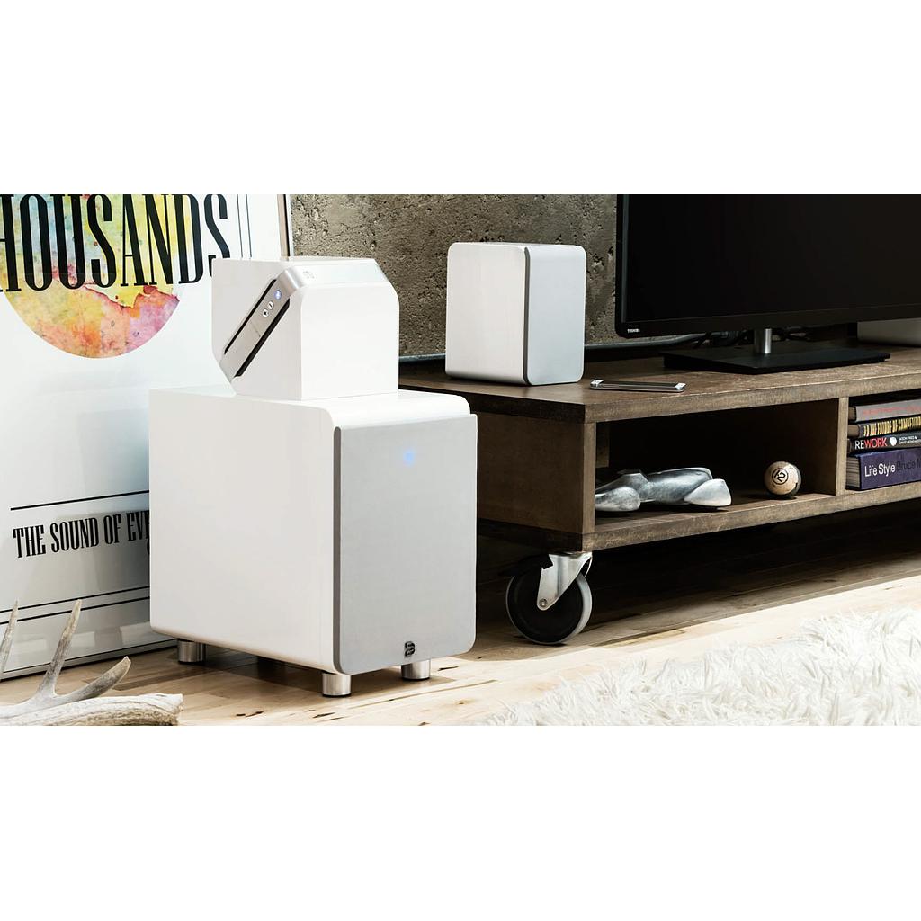 BLUESOUND Pack enceintes 2.1Bibliothèque + Subwoofer BLANC