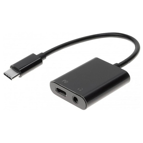 Adaptateur lightning to aux + usb-c