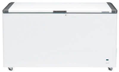 Congélateur EFL5705 Vol 537L Ext Litres Net classe A+ LIEBHERR